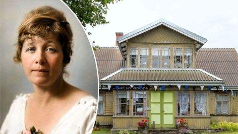 Mis tõi kunagise kultuurieliidi Toilasse suvitama? Mitte üksnes imeline loodus