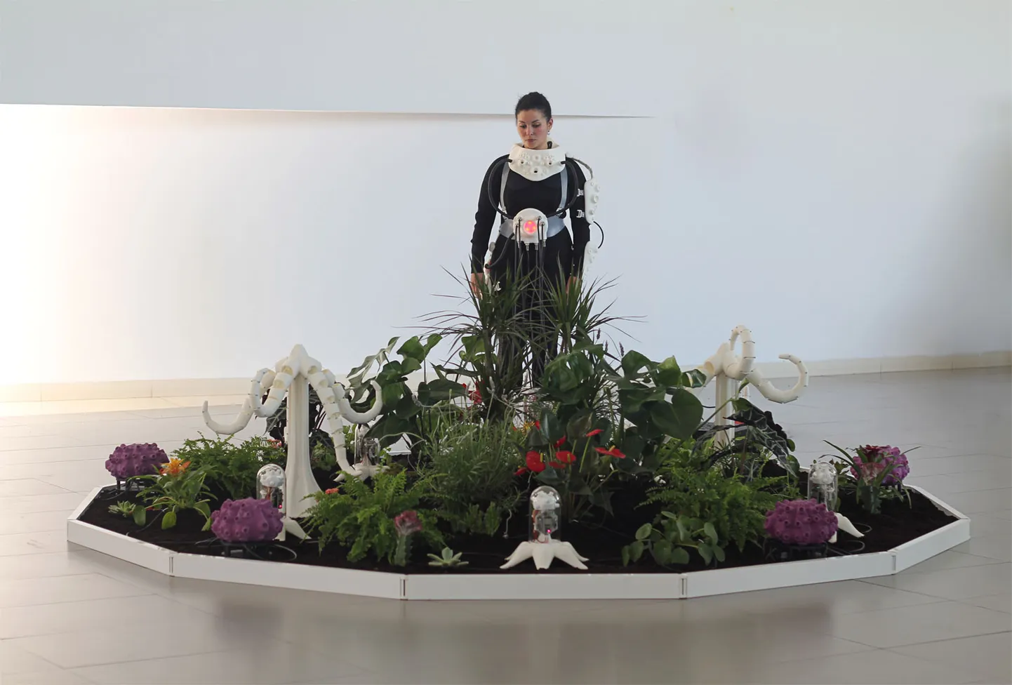 Marija Kastellanos un Alberto Valverde. Augu maņas (María Castellanos and Alberto Valverde, The Plants Sense). “LABoral” Mākslas centrā, Hihonā, Spānijā.