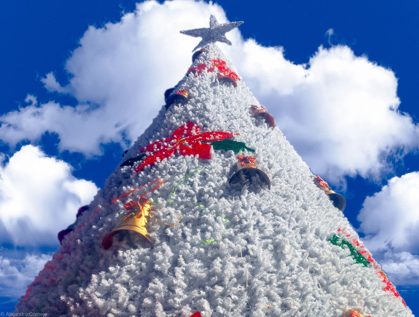 Рождественская елка. Иллюстративное фото
