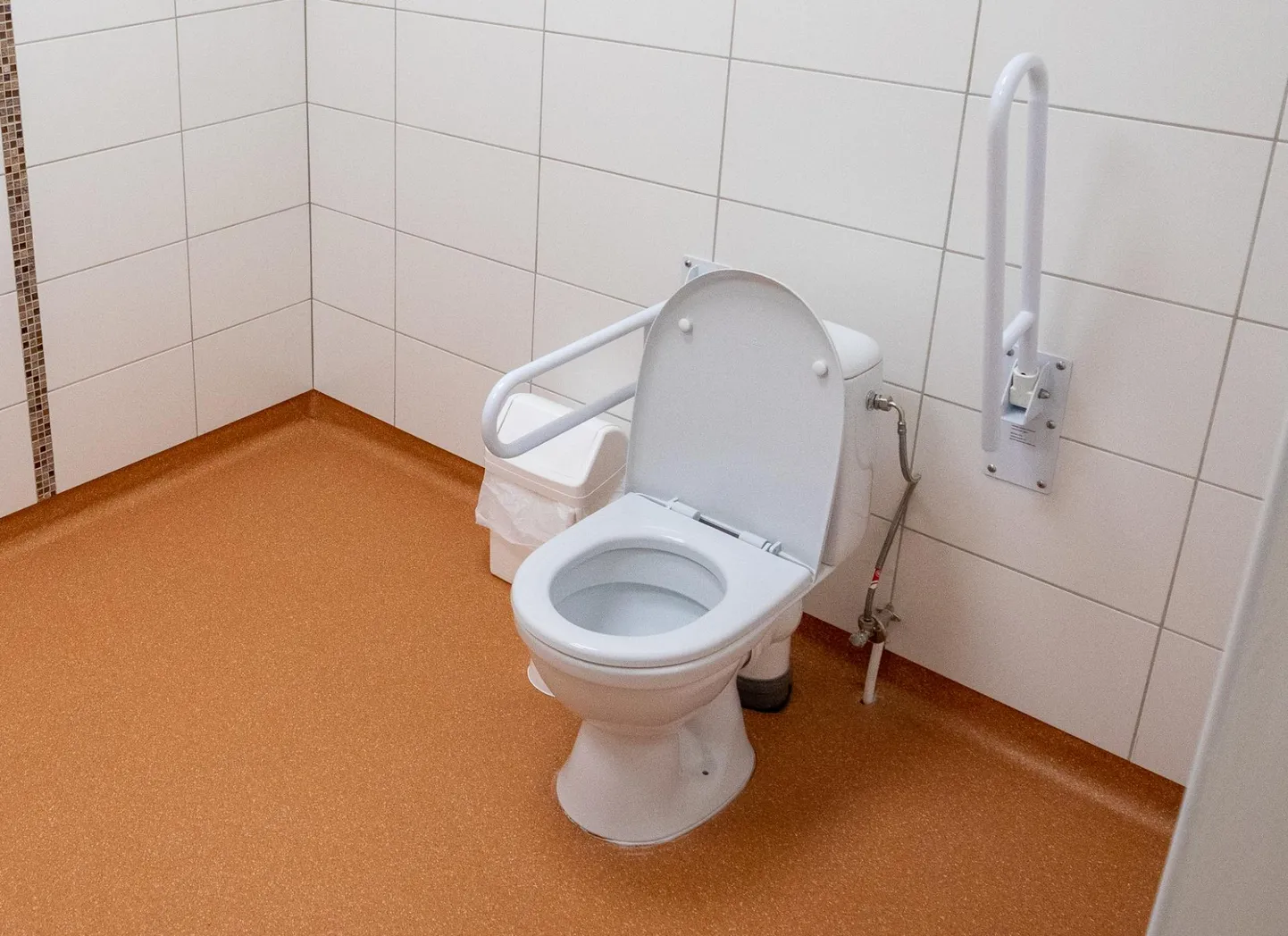 Kõige rohkem tehti toetusraha eest tualettruumide kohandamistöid.