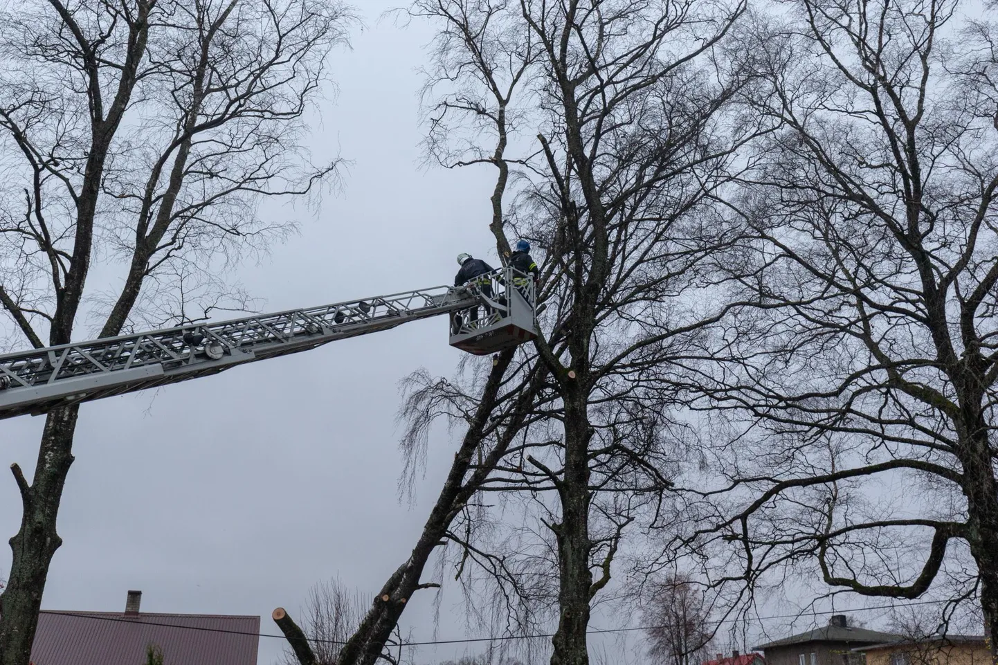 Torm on murdnud puid ja oksi, mis on tekitanud hulgaliselt rikkeid. Pilt on illustratiivne.