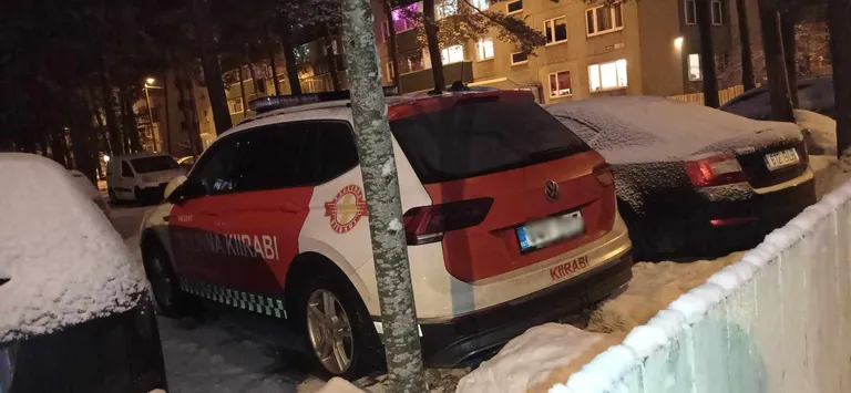 Фотография, которую прислал читатель.