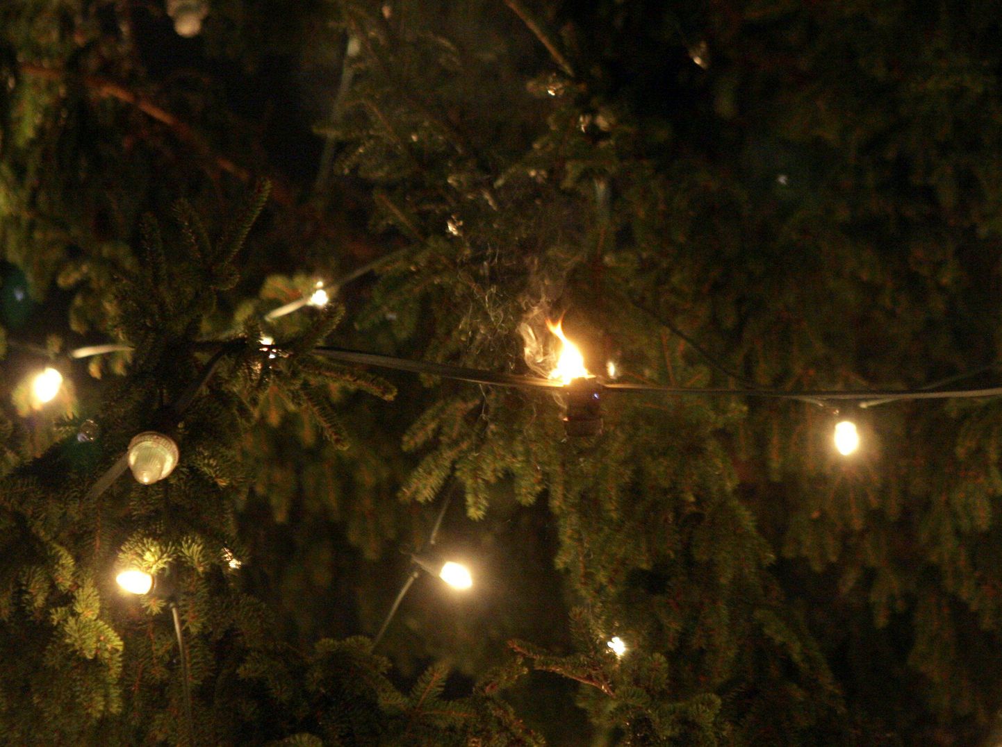 Elektriküünlad jõulupuul. Foto on illustratiivne.