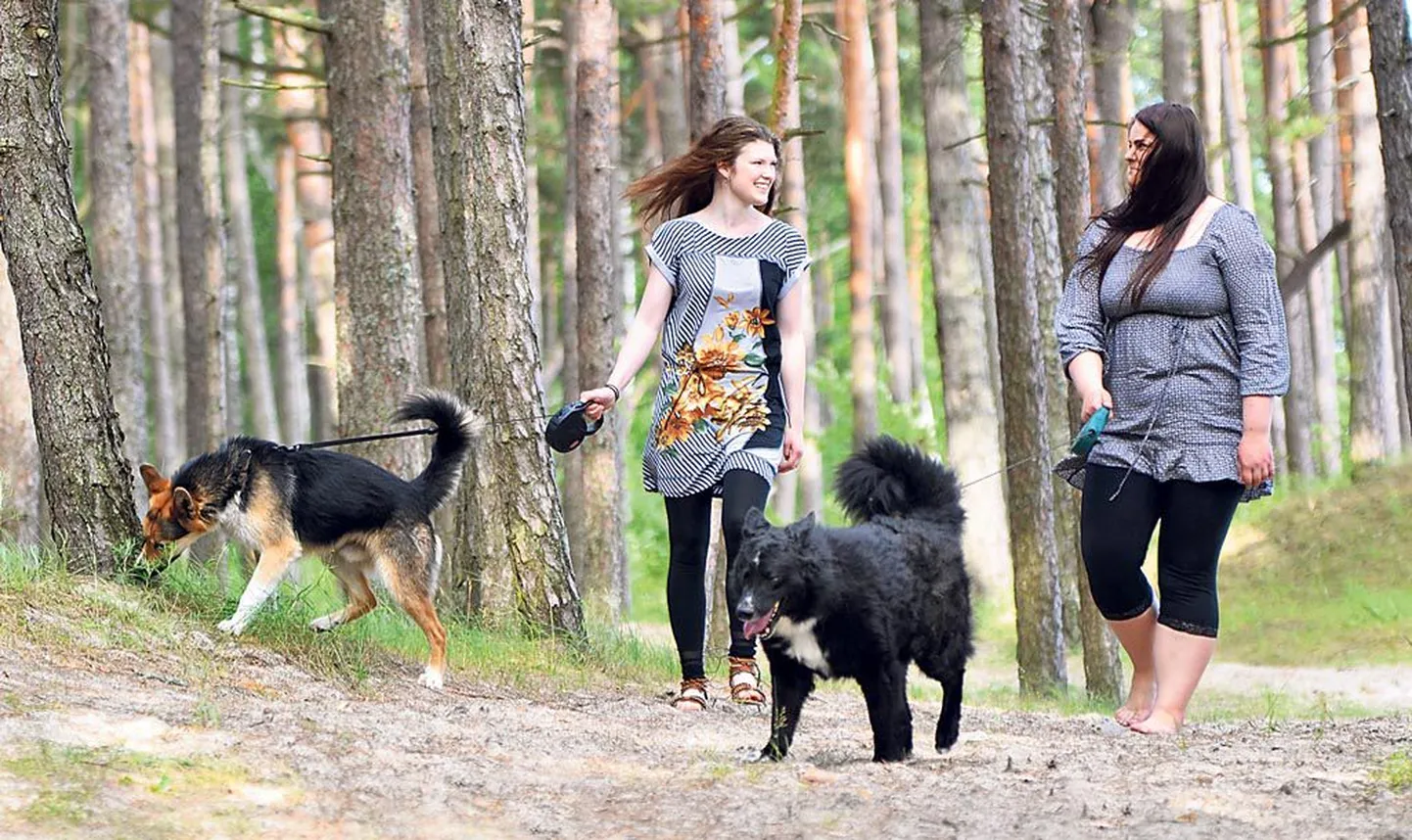 Hetty ja Hanna-Mai käivad oma hoolealustega sageli koos jalutamas. Pildil on Hetty (vasakul) Mäxiga, varjupaiga asukaga, kellest sai neiu päris oma kodukoer, ja Hanna-Mai Hugoga, kes nüüdseks samuti uue kodu leidnud.