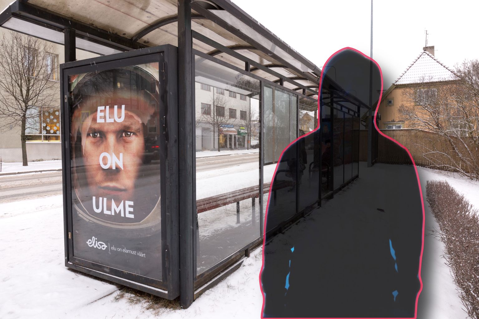 Elu24 kollaaž (Pilt on illustreeriv).