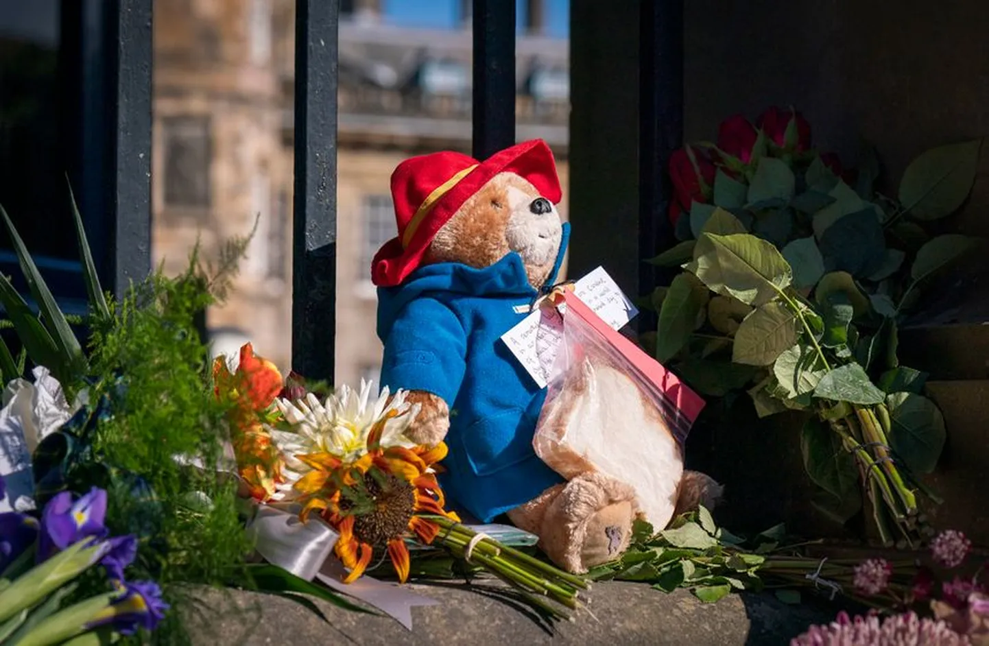 Paddington nädalavahetusel Šotimaal.