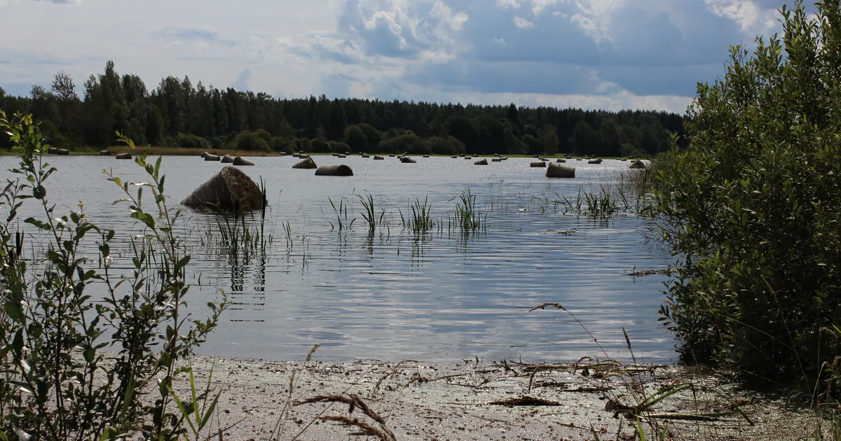 GALERII Jõgi ujutas Põlvamaal üle nii tee, põllu kui heinamaa