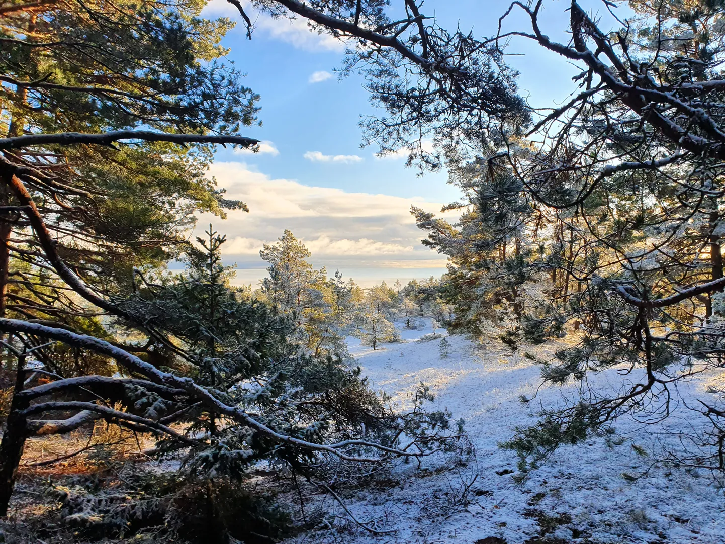 Võrratu jõuluhetk Järve rannas