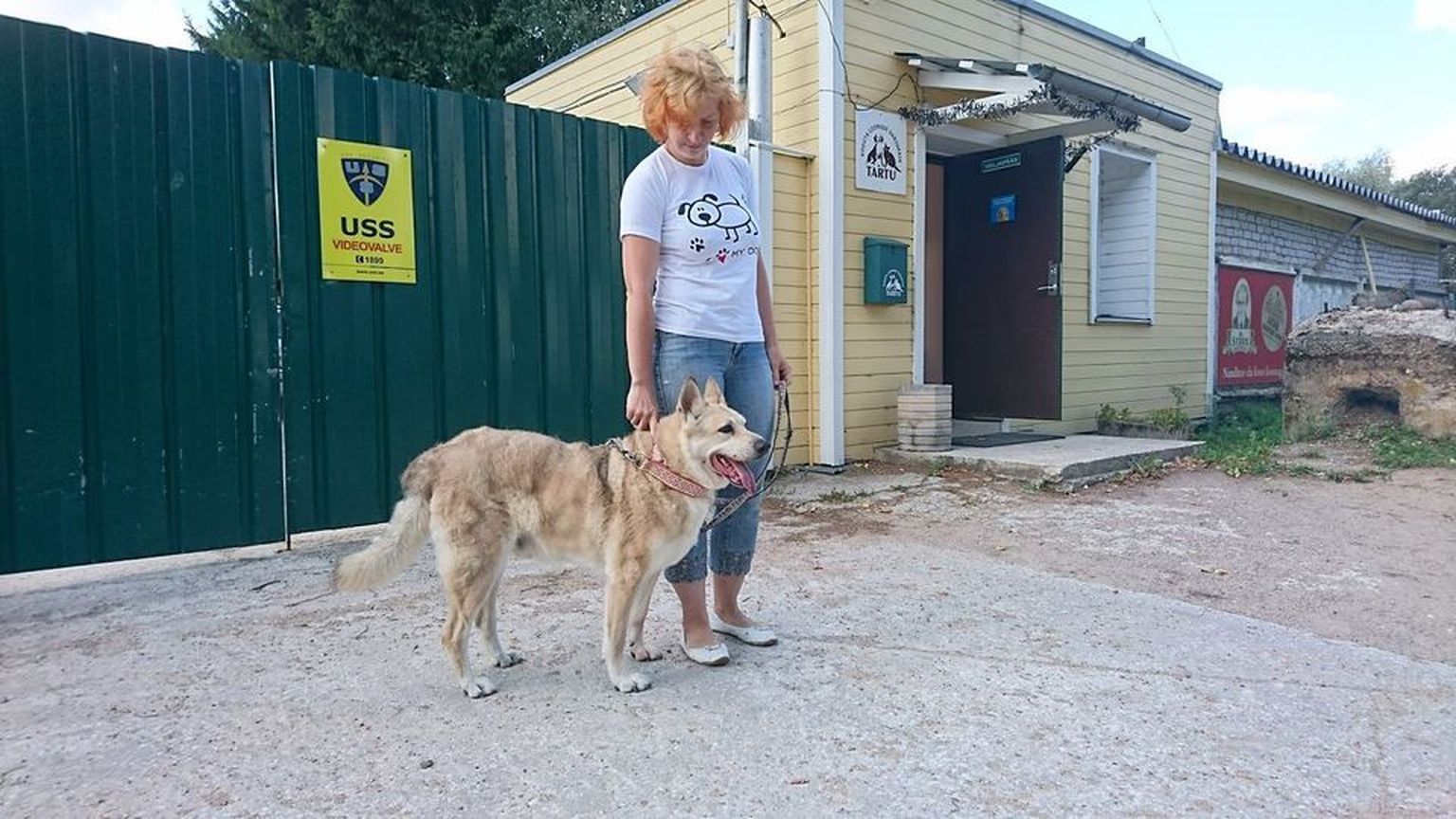 Varjupaika sattunud Dingo koos perenaisega, kes ta aastaid tagasi varjupaigast enda perre võttis.