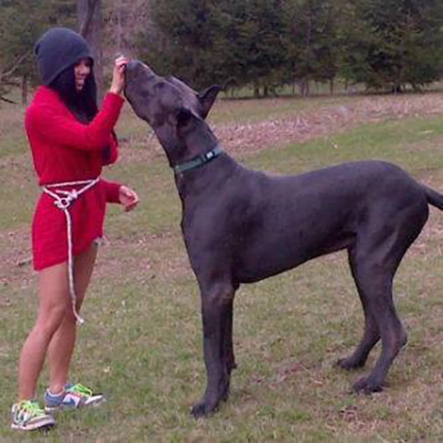 Jenny Saccoccia ja tema dogi Thunder