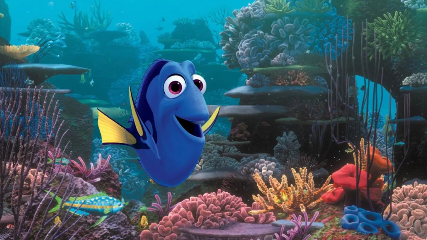 Dory.