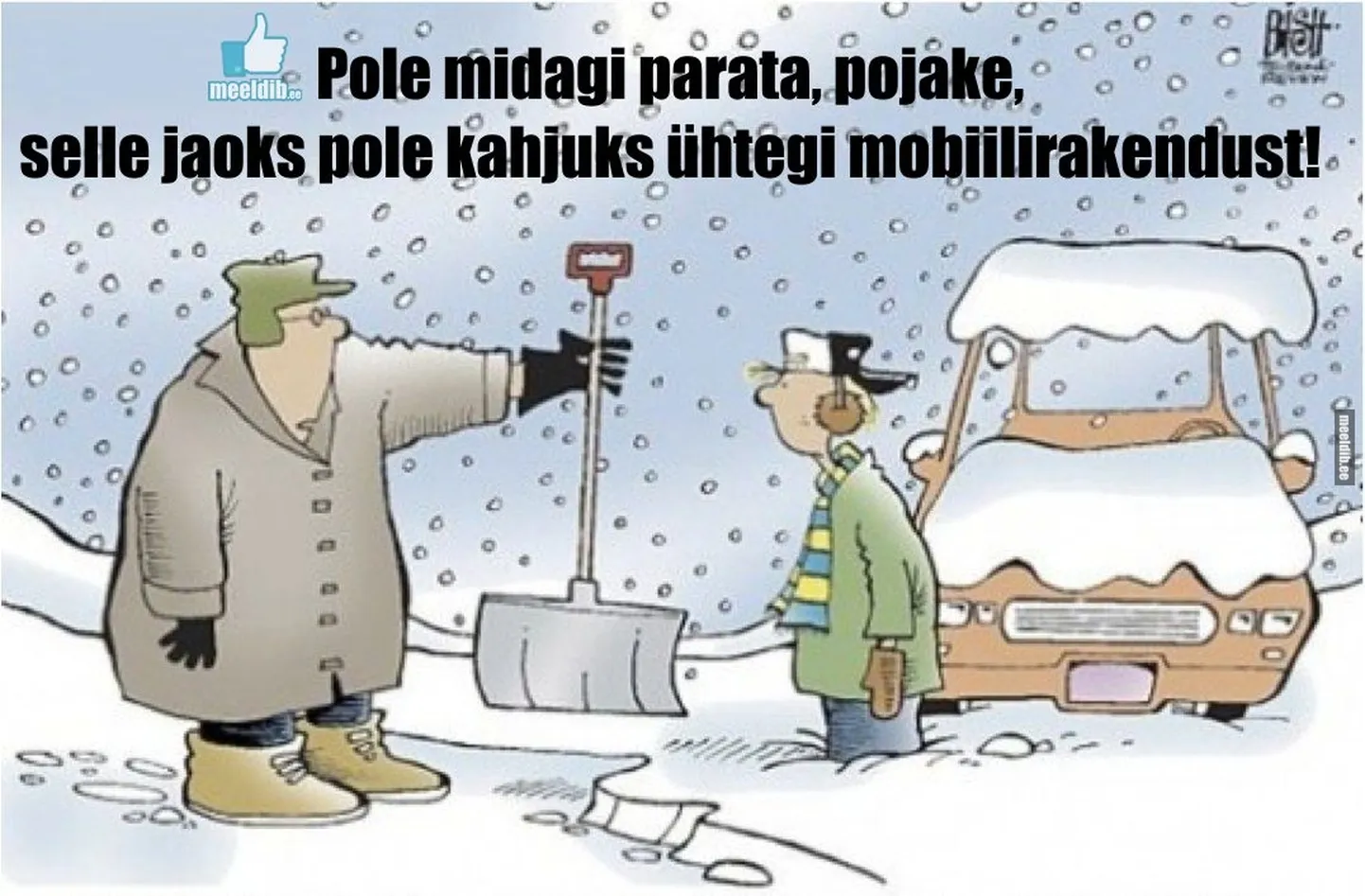 Artikli foto