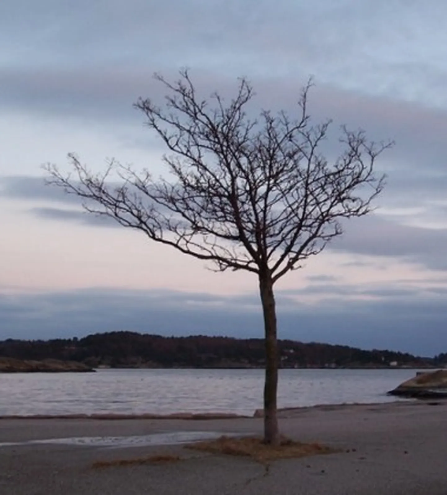 Raksta foto