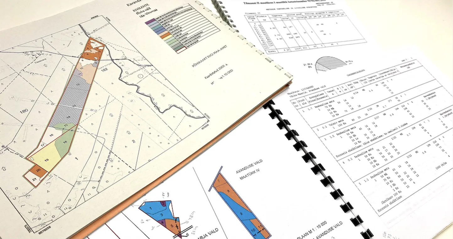 Väära sisuga metsamajandamiskavad on täna metsanduses üks suurimaid probleeme.