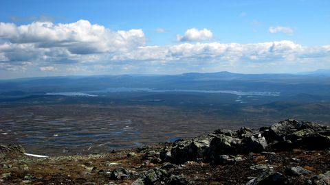 OTSTARVE TEADMATA ⟩ Palantiri omanik ostis Rootsi tundras Stockholmi linnasüdame suuruse maatüki