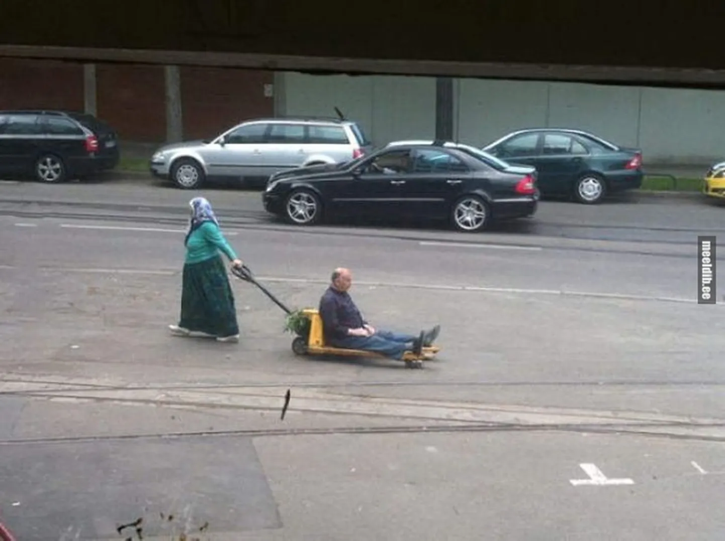 Artikli foto