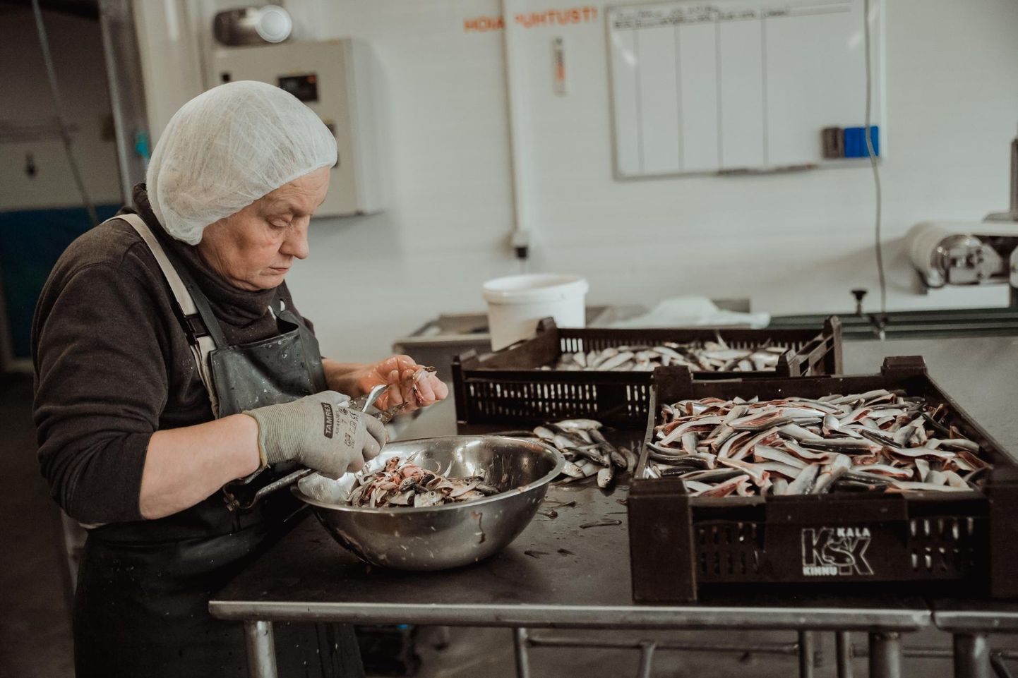 Kogenud kalatöötlejal Natalja Jeršoval ­kulub ühe räime rookimiseks paar sekundit. Ettevõttes pole mindud käsitsirookimiselt masinatööle, et ­säilitada ­inimestele töökohad ja ­toodangu kvaliteet.