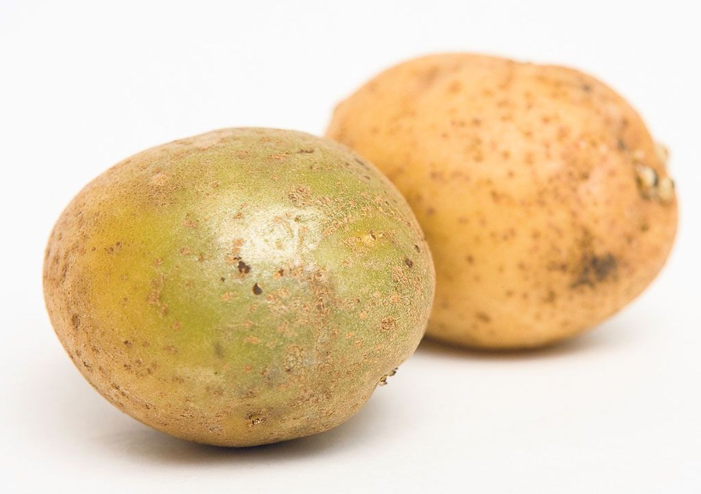 Roheliseks tõmbunud kartuli söömine võib põhjustada kõhuvalu.