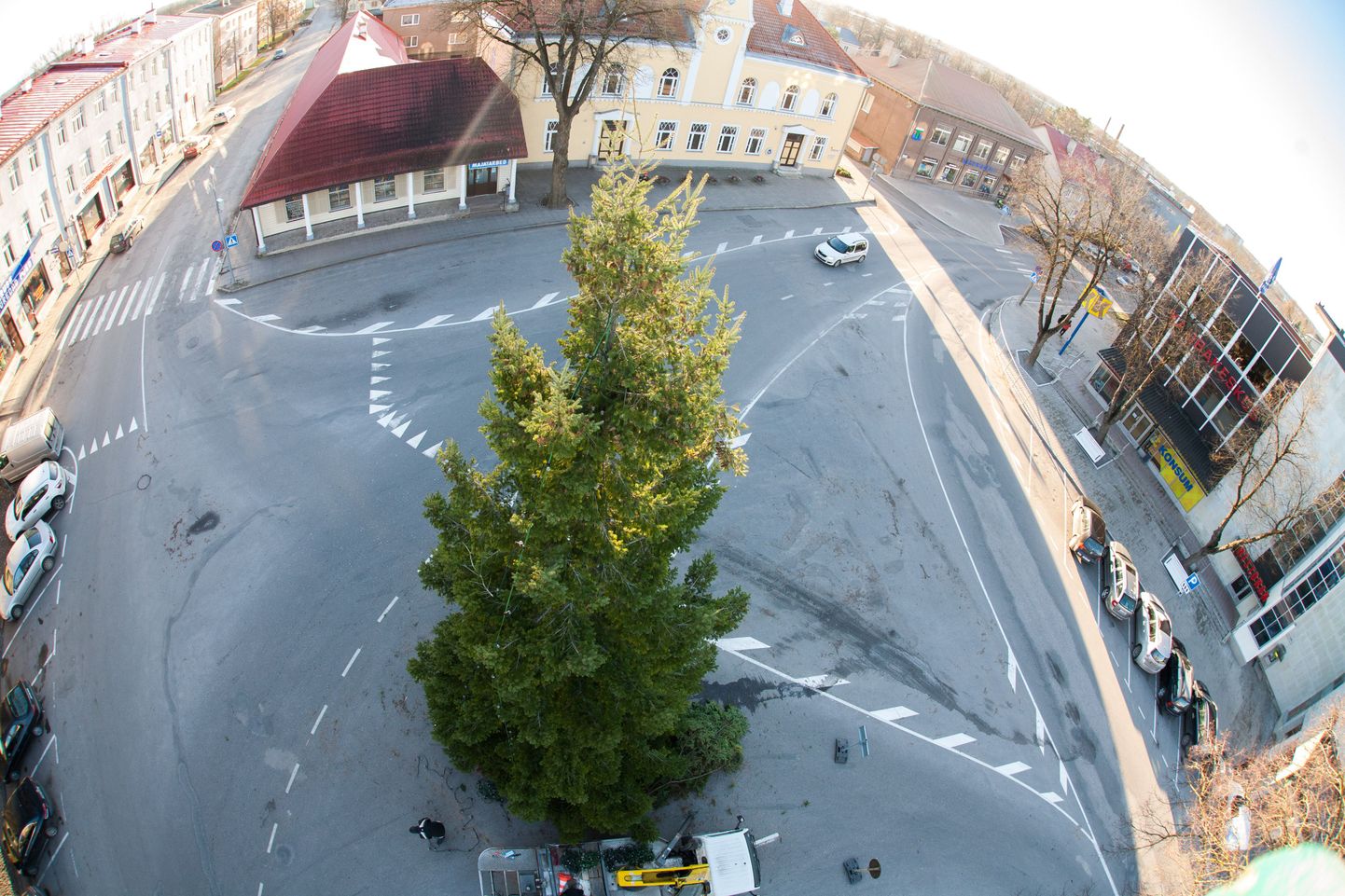 Paide kesklinna  jõudis jõulupuu. 
DMITRI KOTJUH, JÄRVA TEATAJA/SCANPIX