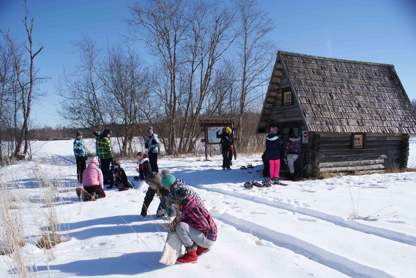 Tipu looduskoolis jagub lastele ka talvel paksu lumega põnevaid tegevusi.