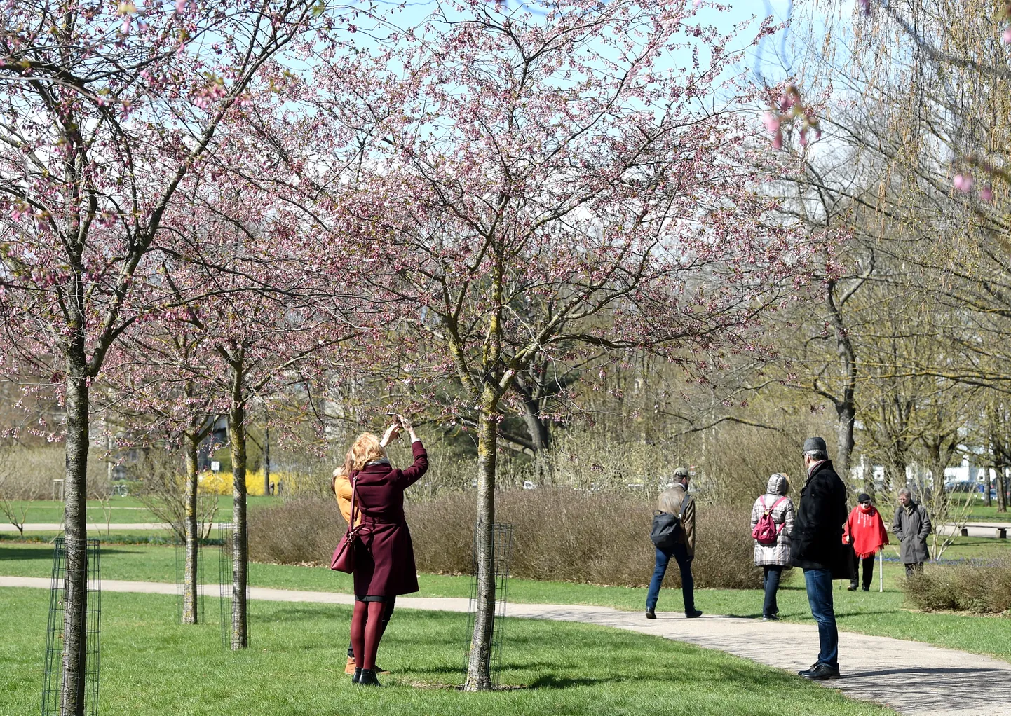 Фото статьи
