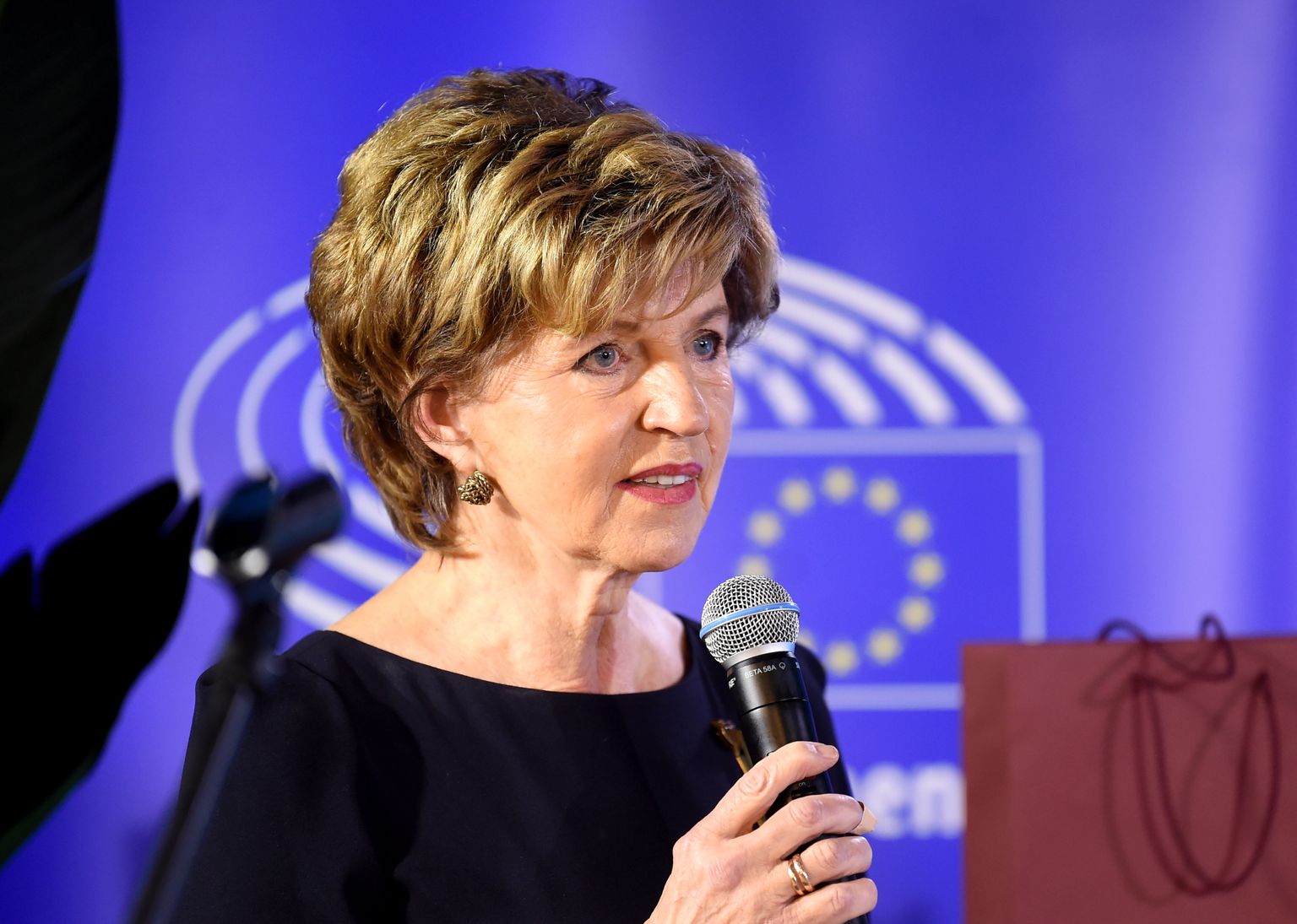 Eiropas Parlamenta deputāte Inese Vaidere.