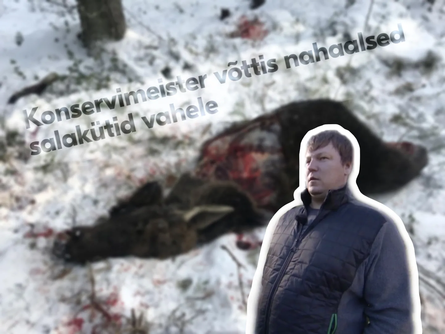Elu24 kollaaž