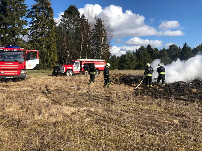 Lääneranna vallas Nehatu külas maha valatud tuhast alguse saanud maastikupõleng ohutas lähedal asuvat metsa.