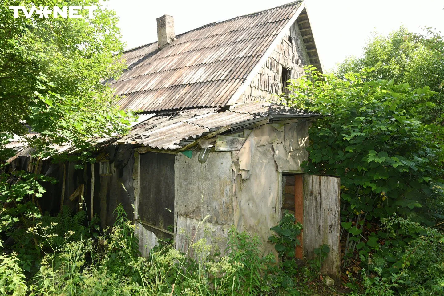 TVNET нашел заброшенный дом, где было спрятано тело убитой Юстине Рейниковой