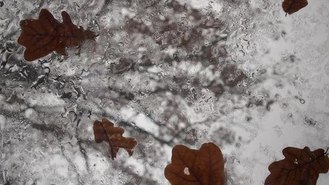 V Latviji se obeta oblačno in deževno vreme