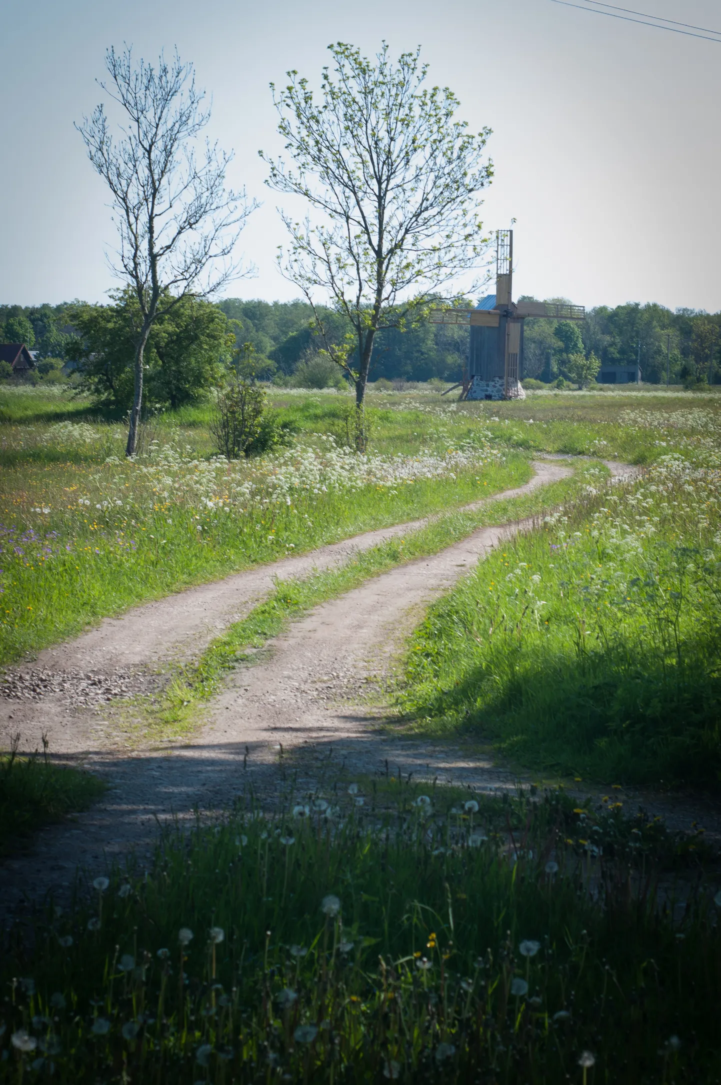 Abruka.