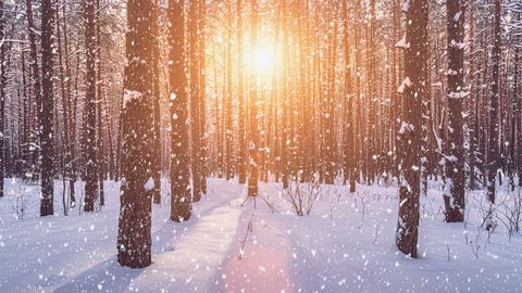 Šonakt gaidāms ilgstošs sniegs