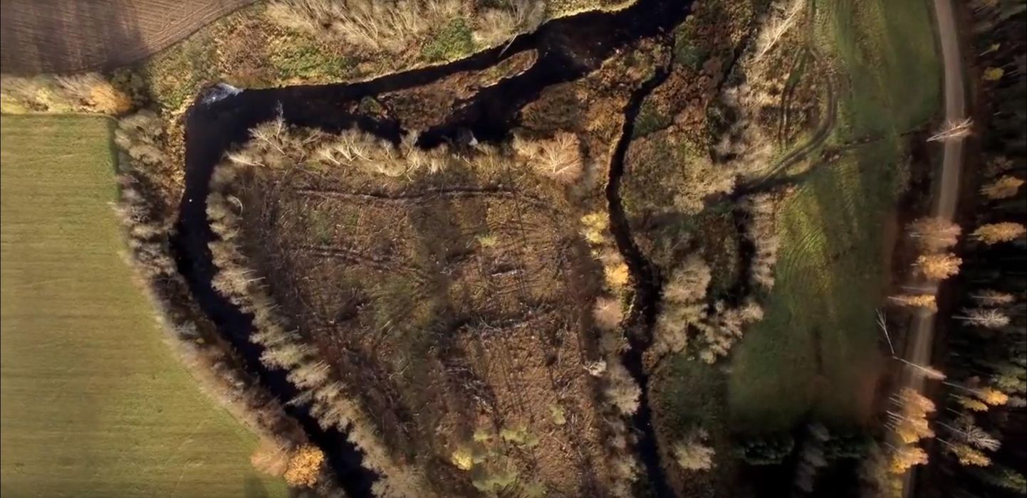 Pärnu jões asuv nahkhiirte elupaigaks olnud saar tänavusuvise raie järel.