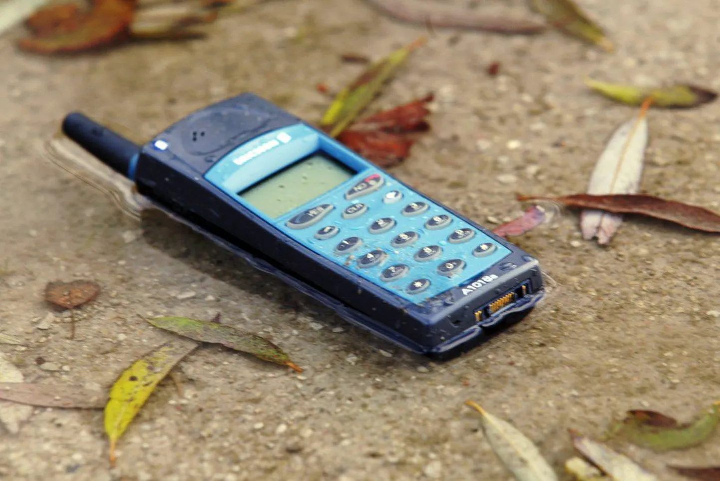Vettekukkunud mobiiltelefon.