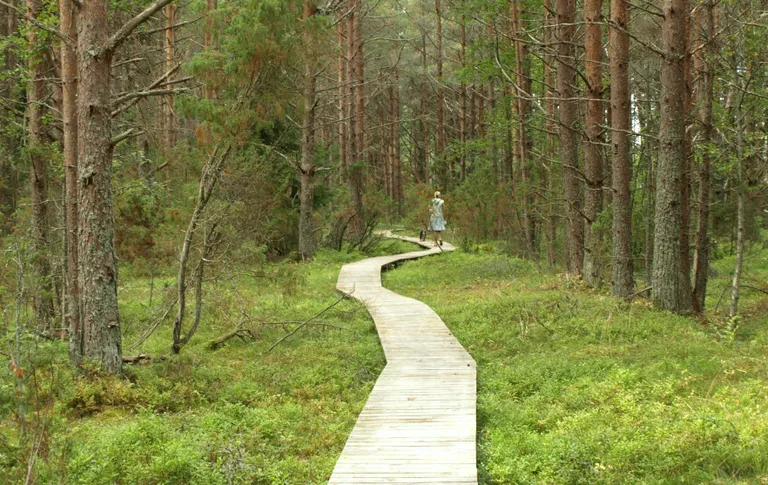 Kärdlast algav matkarada. Foto: