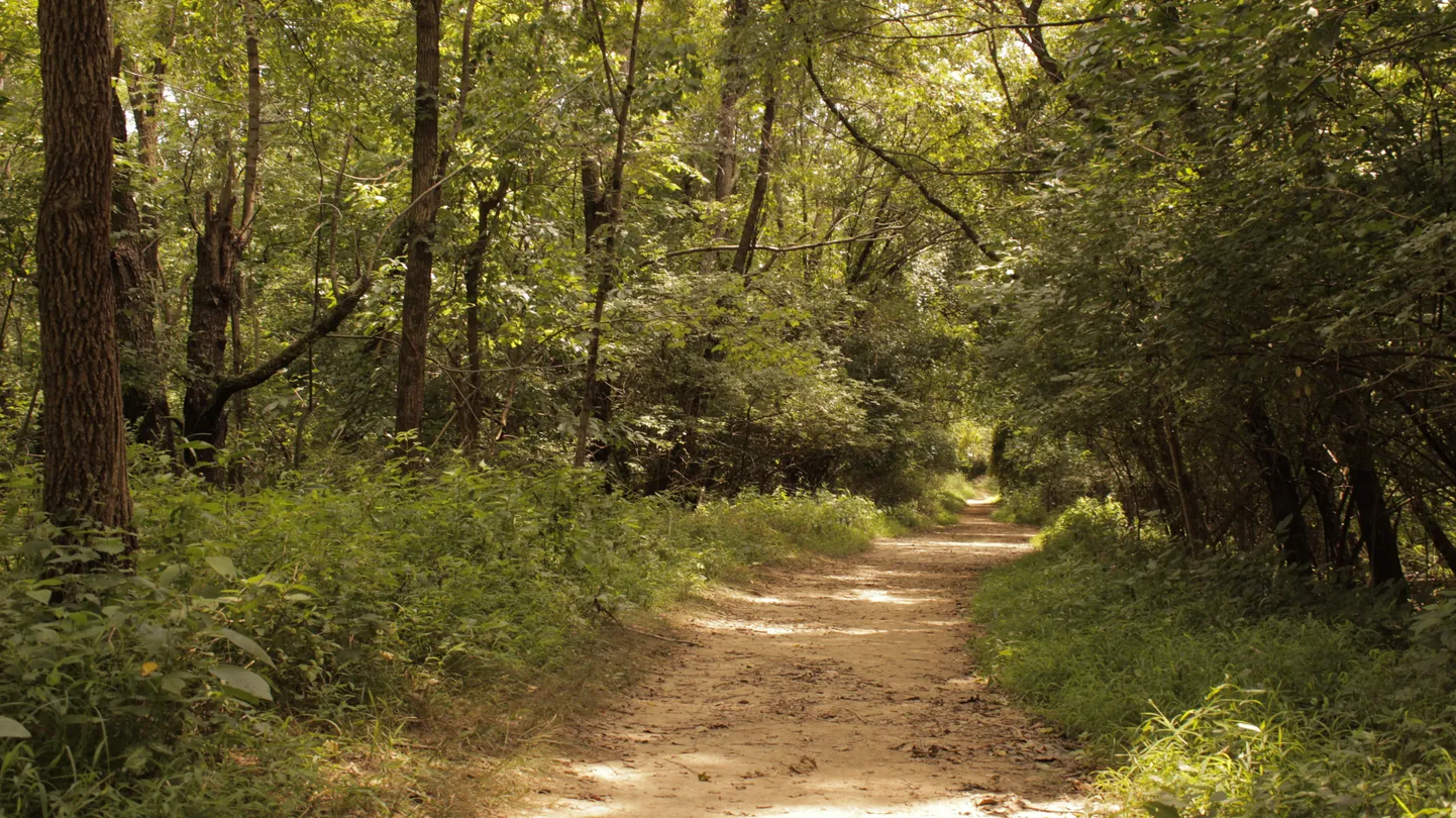 Tom Sawyer State Park, Kentucky, USA.
