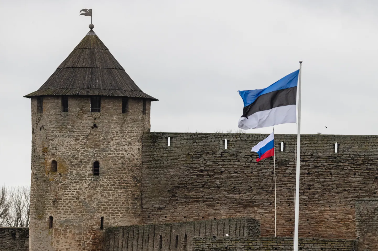 Вид из Нарвы на крепость в Ивангороде, ноябрь 2023 года.