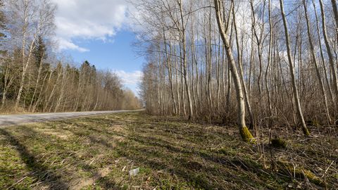 Karuründe pealtnäijad: perekond nägi päästeoperatsiooni, kuid kardu ei märganud