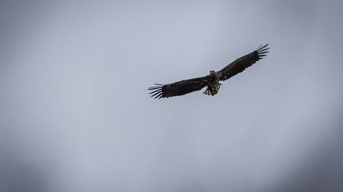 Suveseiklus aitab eluga leppida