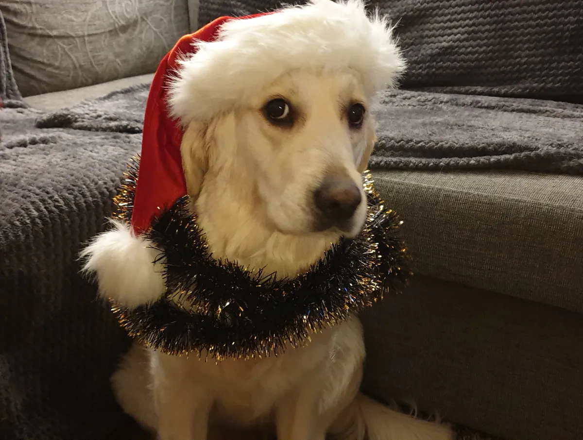 Ronja: «Tooge juba see kuusk tuppa, kaua ma pean seda ise mängima!»