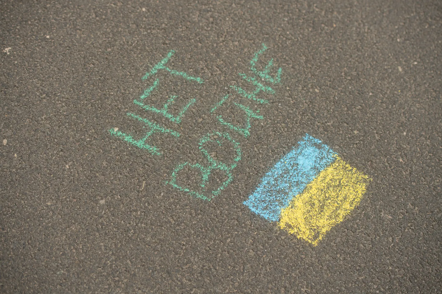 Pretkara protests "Krievu balss pret karu"