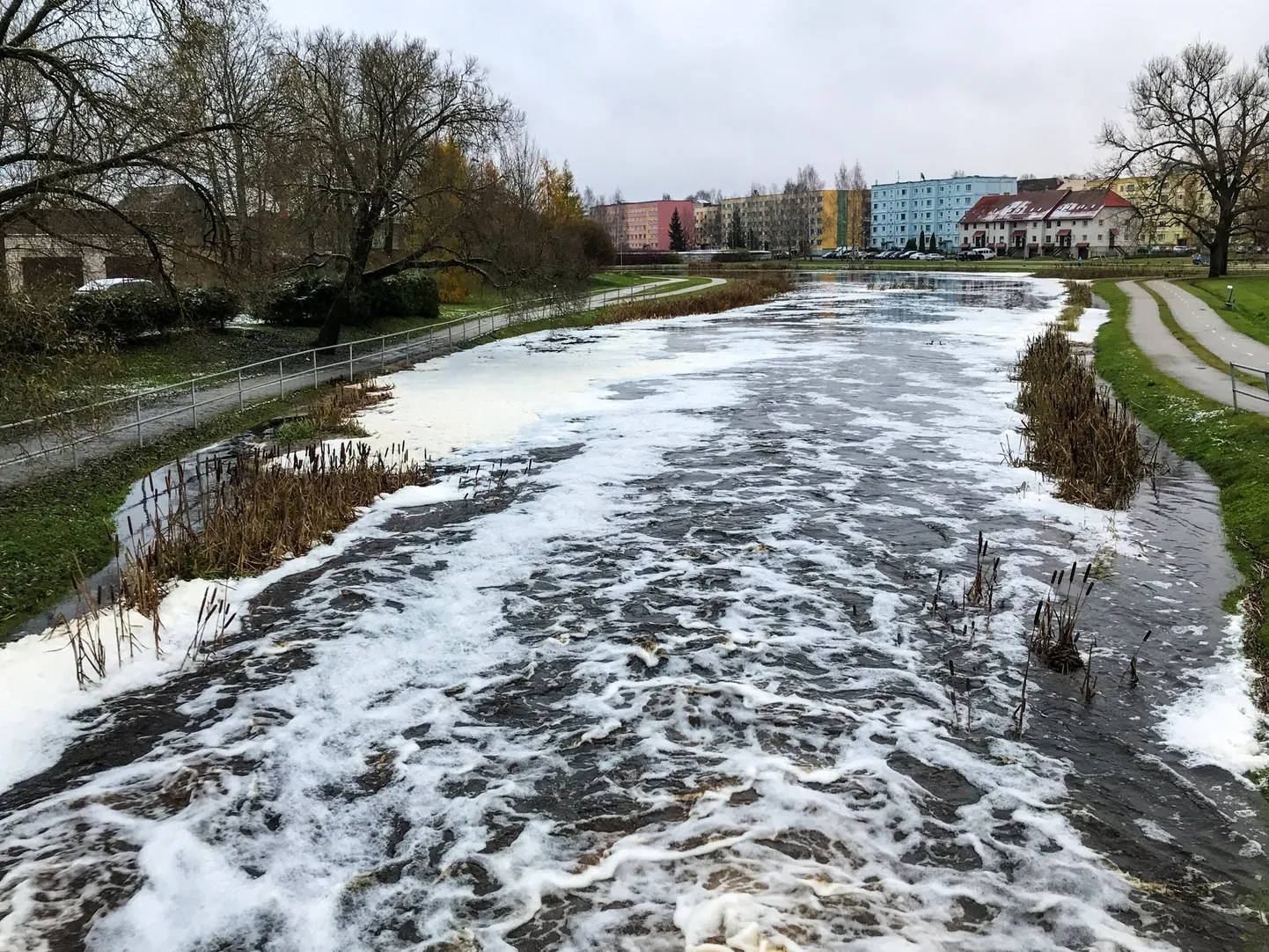 Fotol Pedeli jõgi.