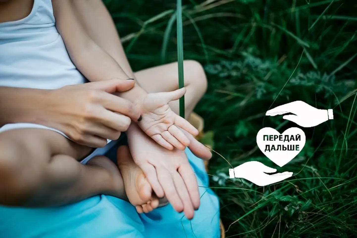 Фото статьи