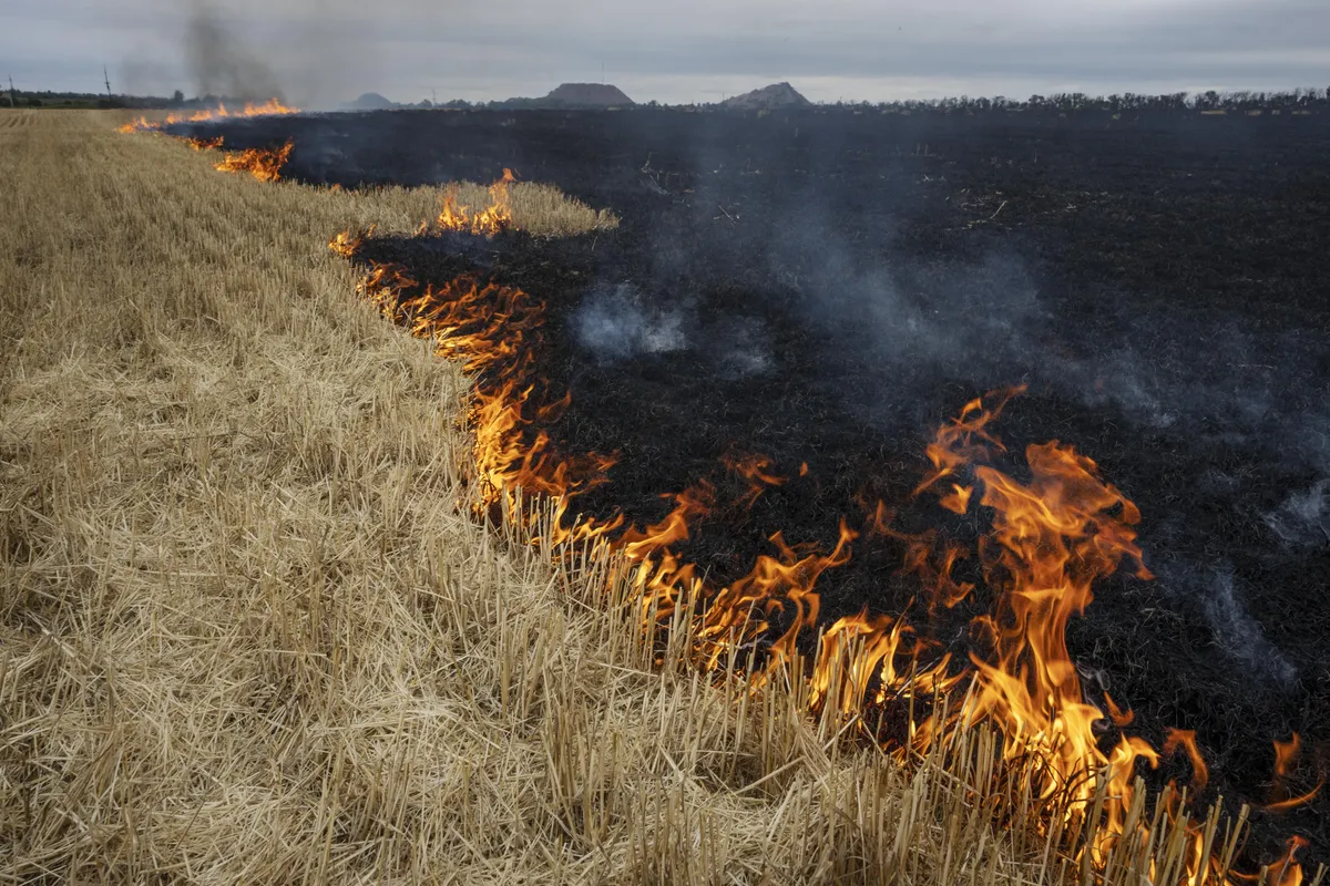 Grain fields burn, on the outskirts of Kurakhove, Donetsk Oblast, eastern Ukraine.