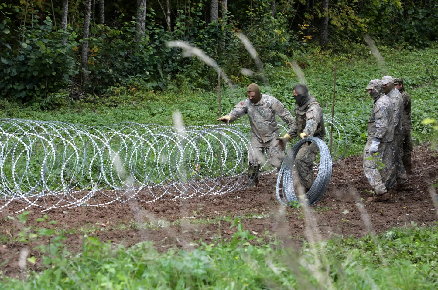 Временный забор на границе с Беларусью