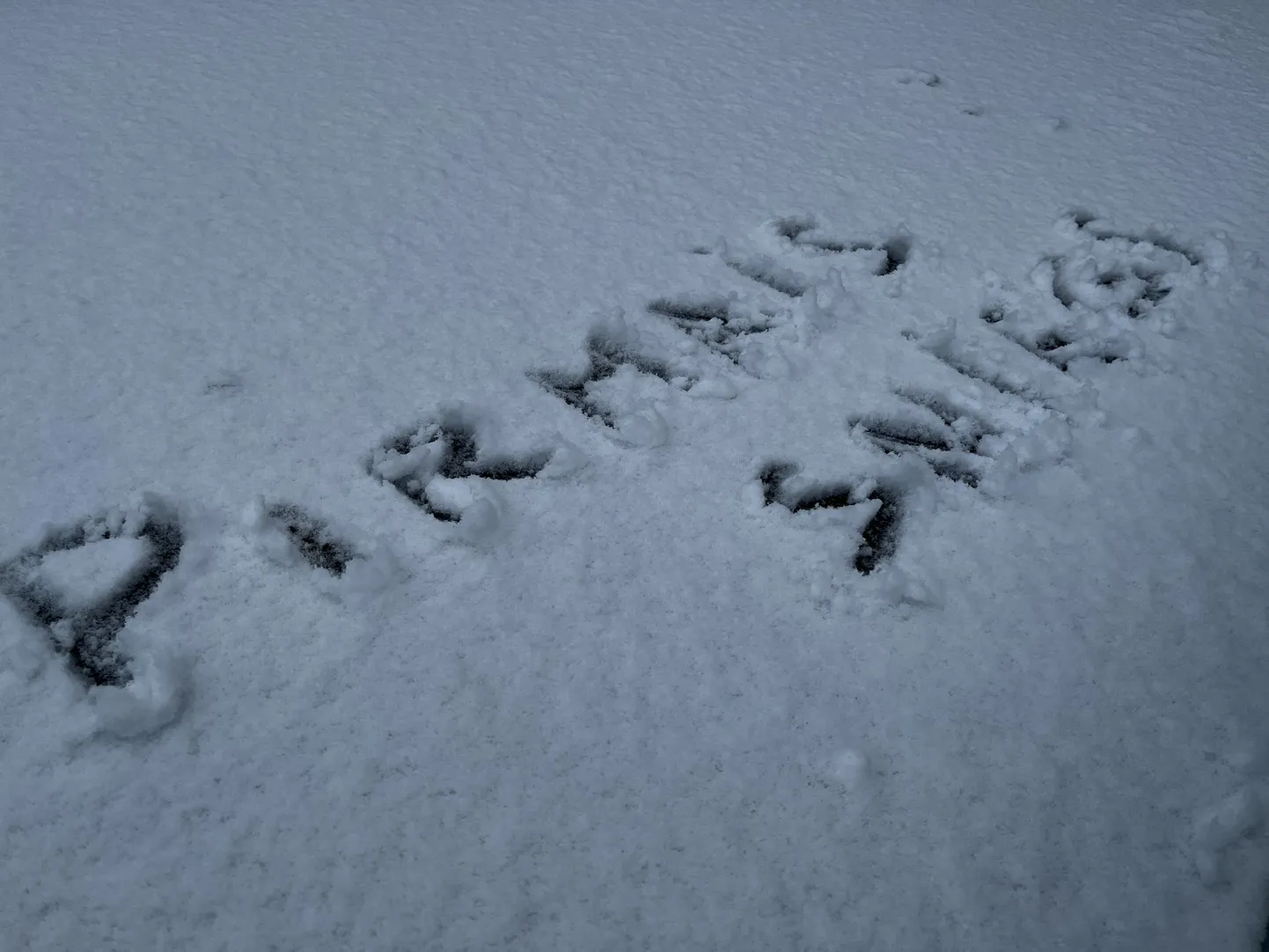Pirmais sniegs Rēzeknē.