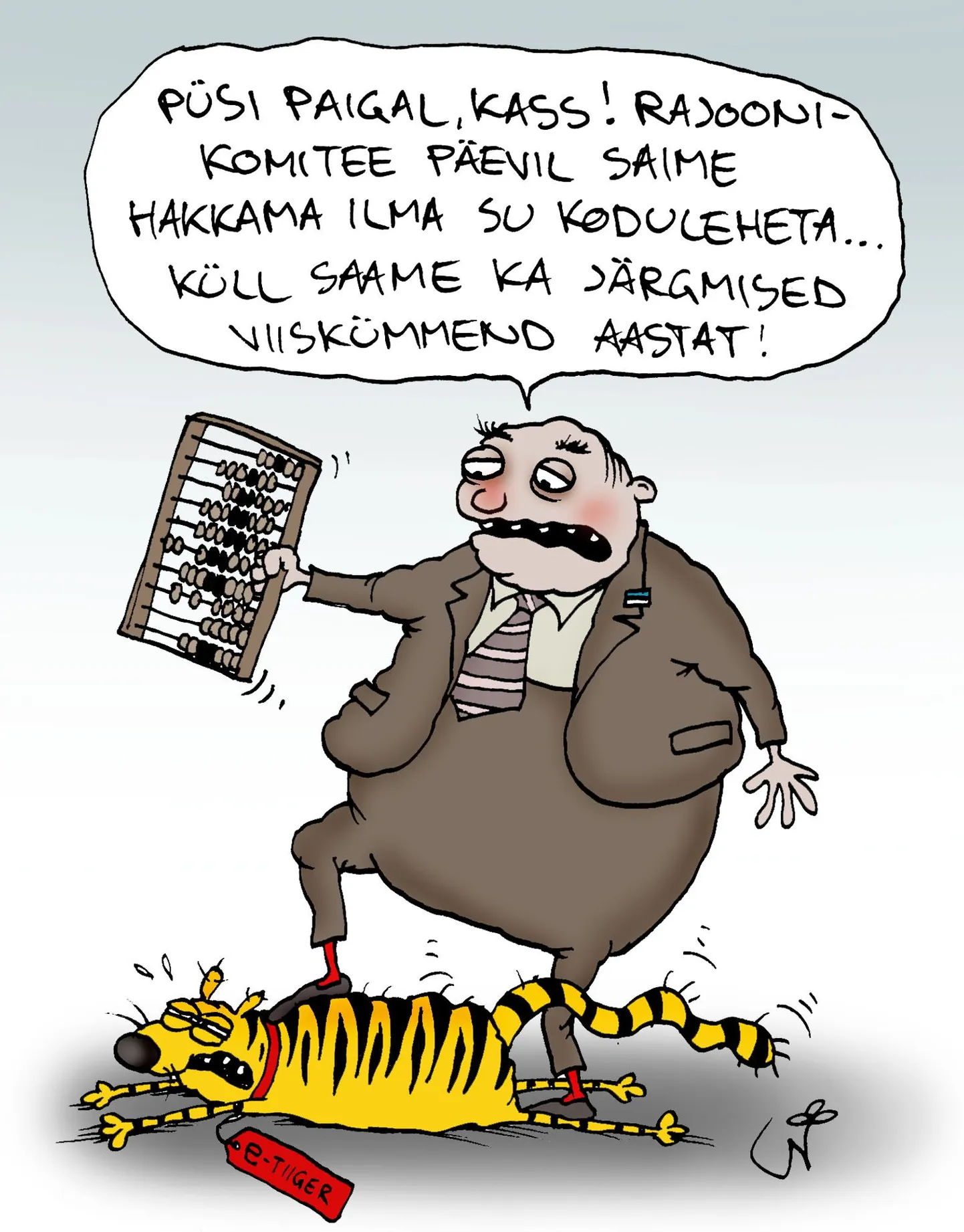 Sugugi mitte kõik vallavolikogud ei jaga kodulehekülgedel valla kohta käivat olulist informatsiooni.
