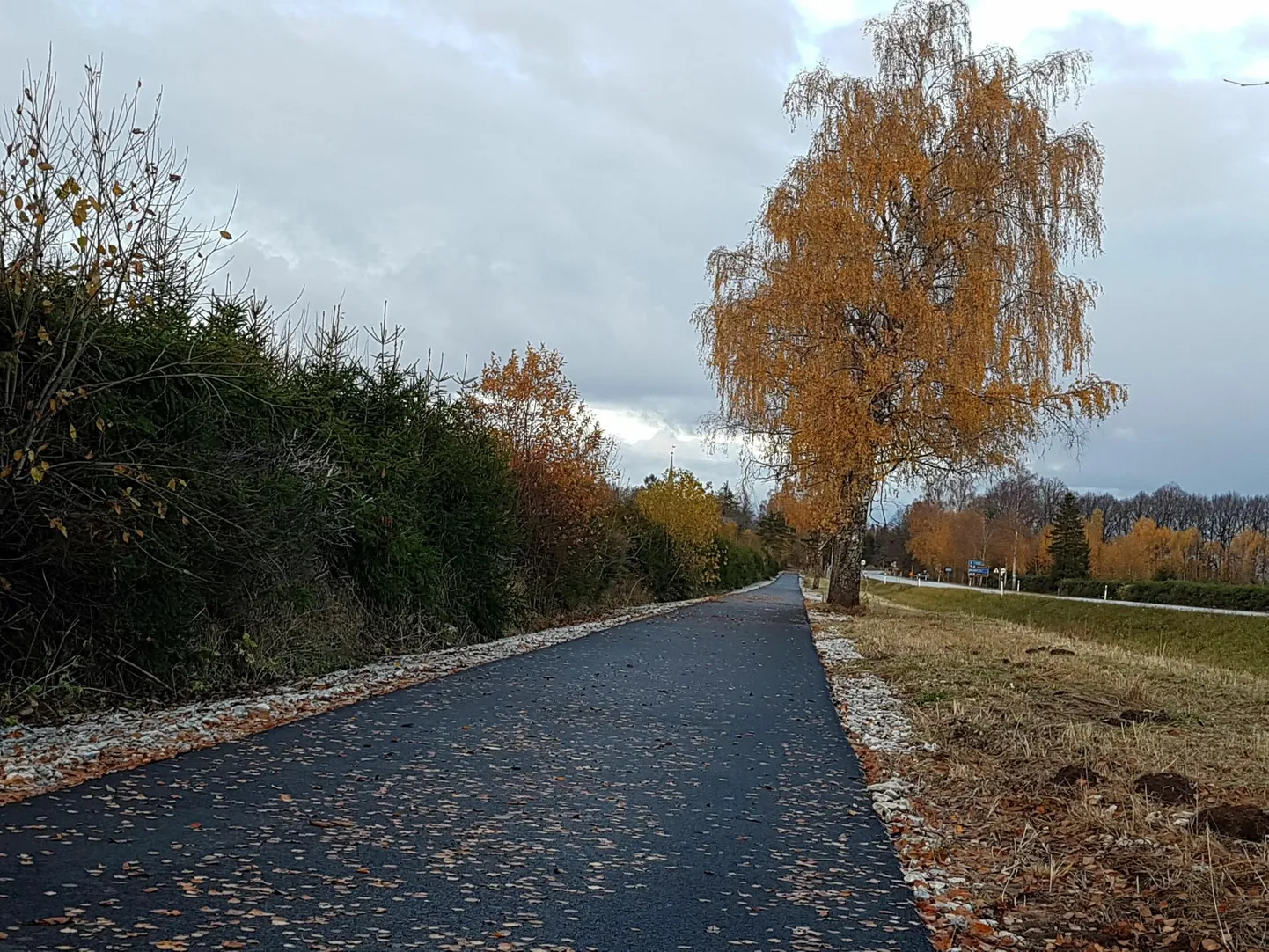 Kas Eesti tee viis kolmandas kvartalis majanduskasvule? See selgub alles reedel.