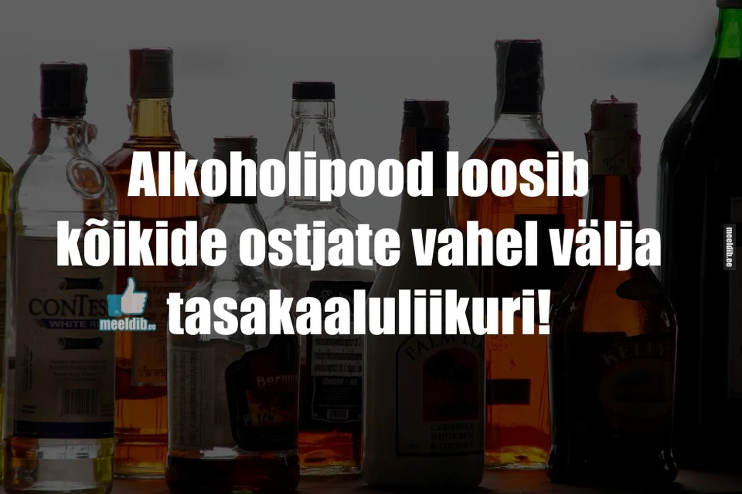 Artikli foto