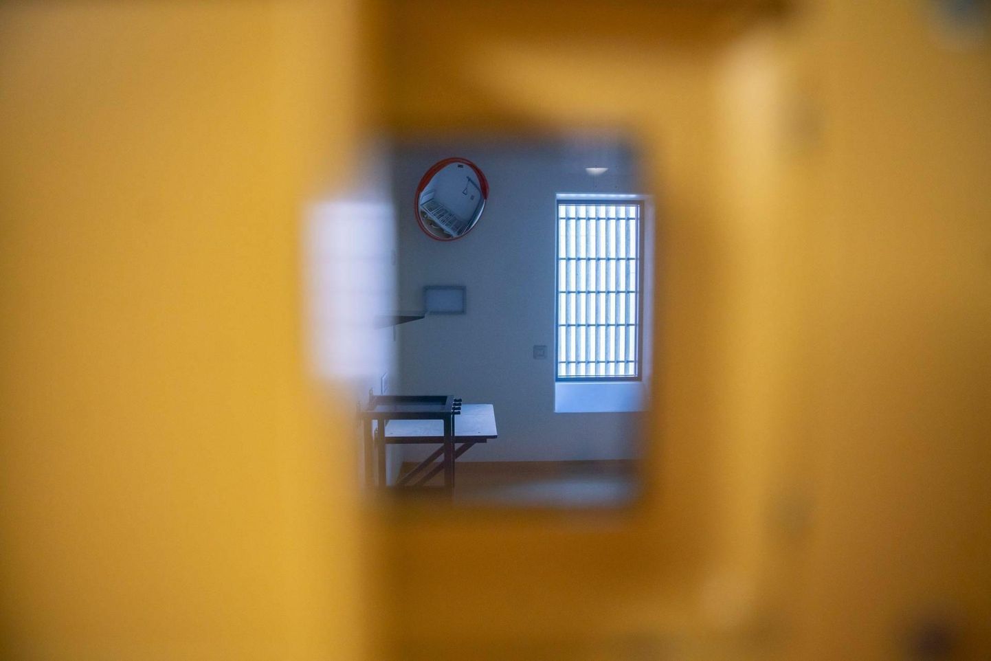 Eesti kambertüüpi vanglas on ühe vangi kulu ligi 3000 eurot kuus ehk 36 000 eurot aastas.